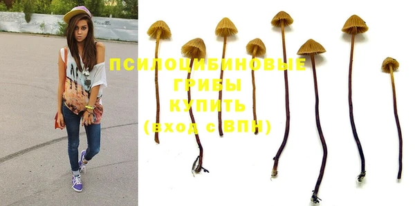 ешки Липки