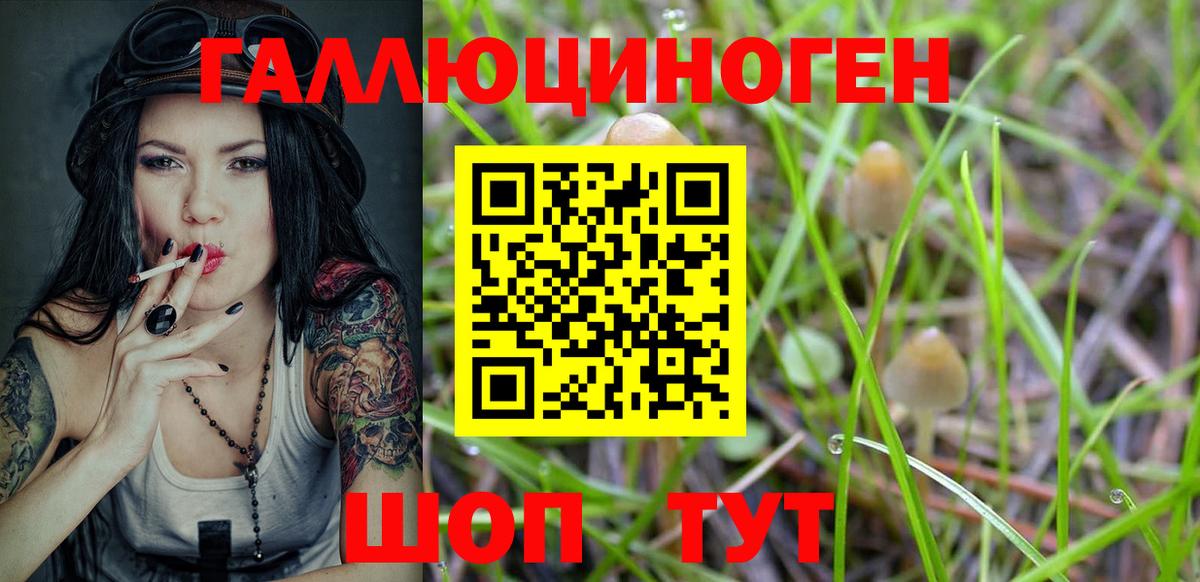 Нефтекумск  Галлюциногенные грибы Psilocybine cubensis  Вход с VPN 