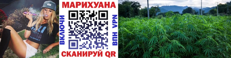купить   Нефтекумск  МАРИХУАНА Amnesia 